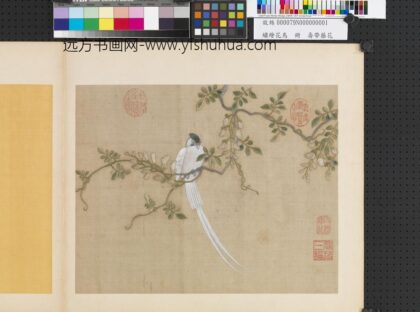 绣绘花鸟册 寿带藤花.jpg