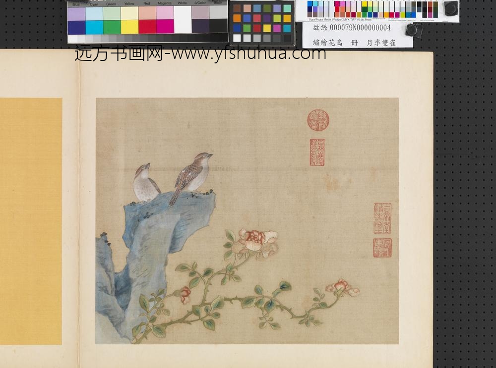 绣绘花鸟册-月季双雀