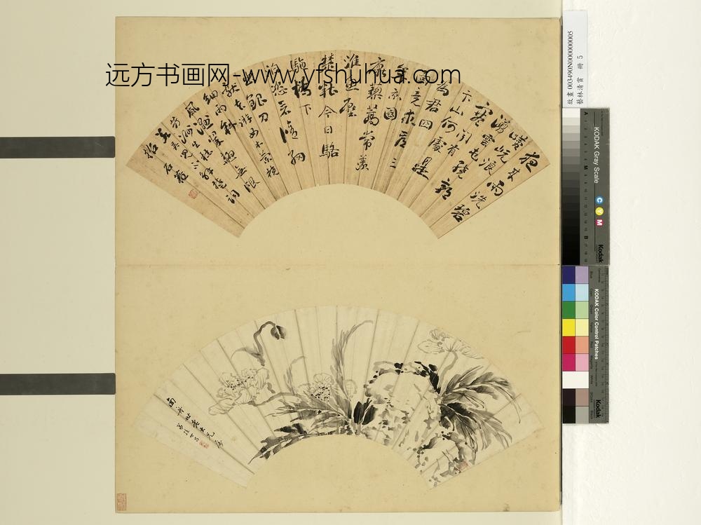 艺林清赏册-清孙世昌画虞美人