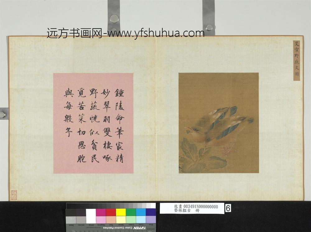 艺林韫古册-宋艾宣野蔬文羽
