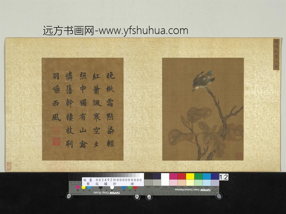 艺苑胪珍册-明陆治楸叶山禽