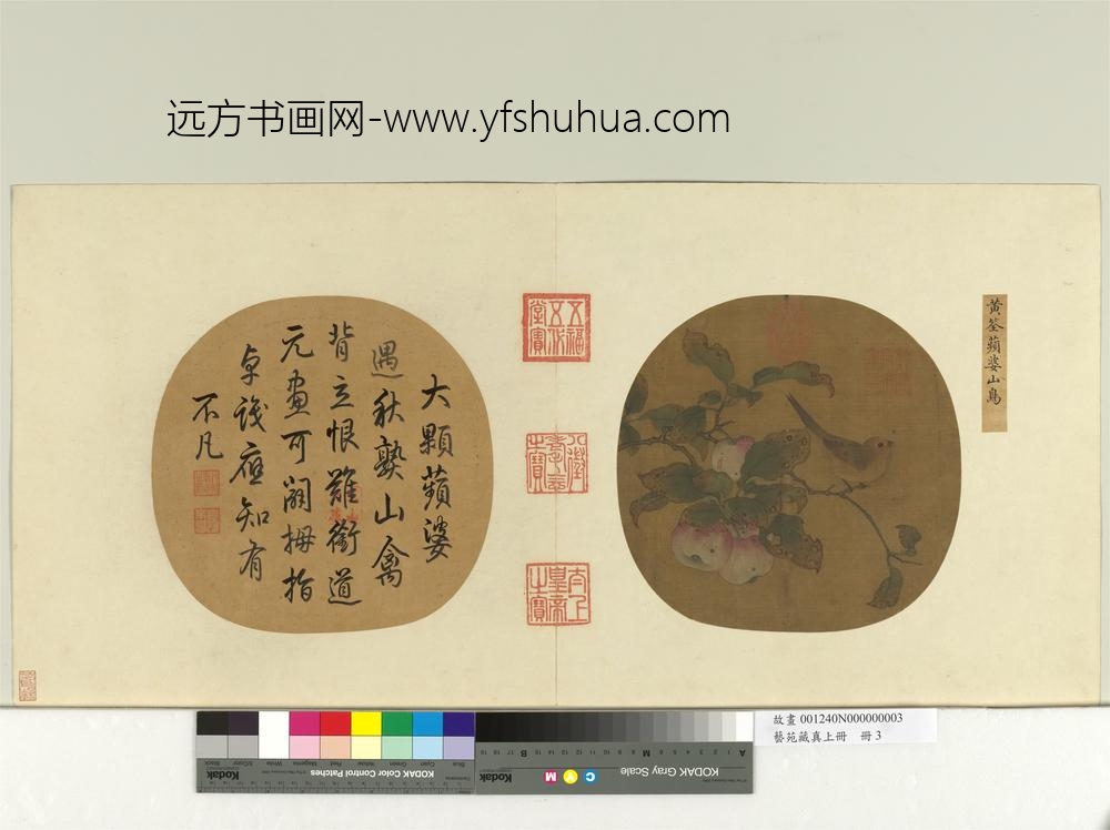艺苑藏真（上）册五代黄筌苹婆山鸟
