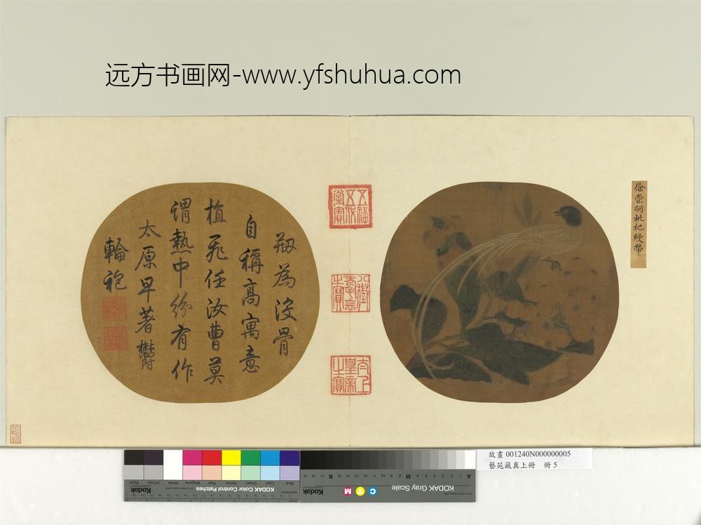 艺苑藏真（上）册宋徐崇嗣枇杷绶带