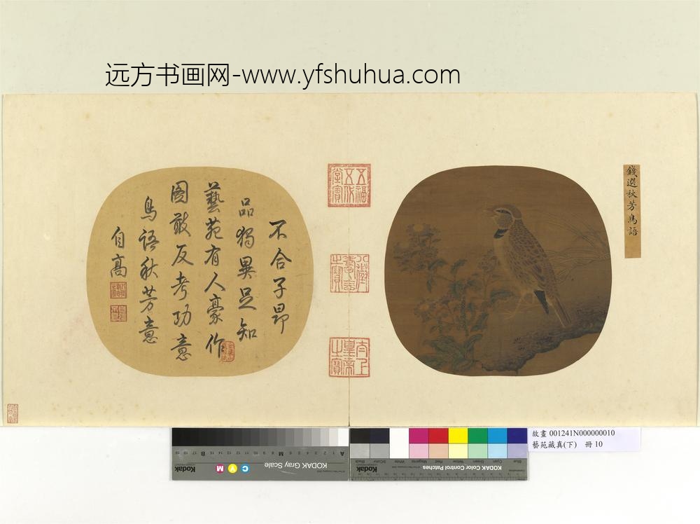 艺苑藏真（下）册宋钱选秋芳鸟语
