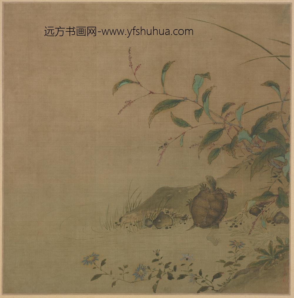 蓼龟图页