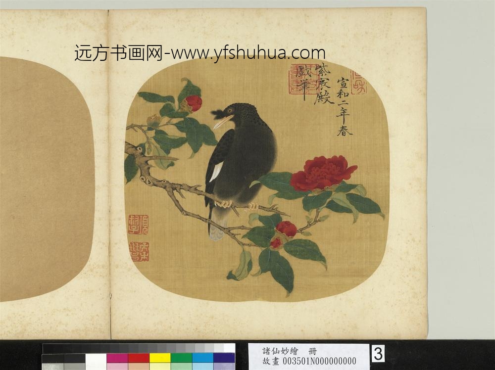 诸仙妙绘册-宋徽宗山茶鸲鹆