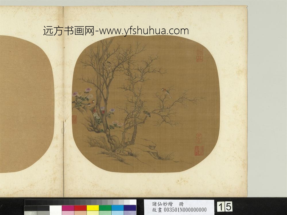 诸仙妙绘册-无款枯林山鸟