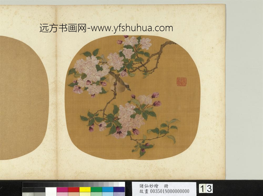 诸仙妙绘册-无款海棠白头