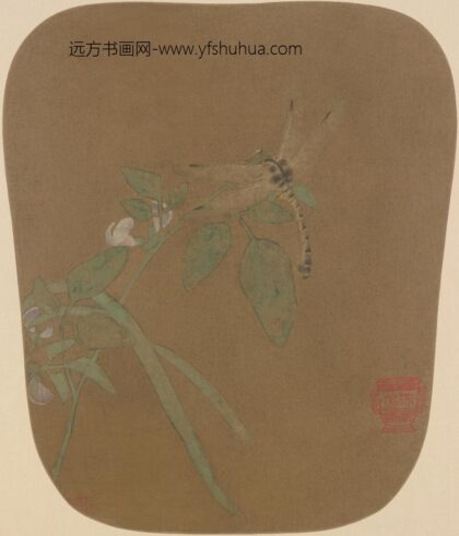 豆荚蜻蜓图页.jpg