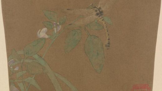 豆荚蜻蜓图页.jpg