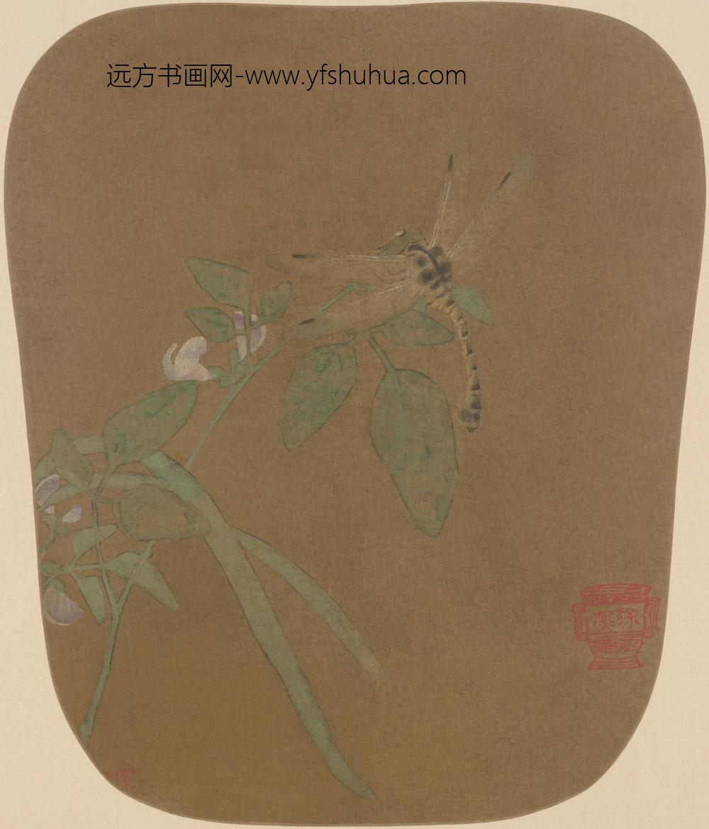 豆荚蜻蜓图页