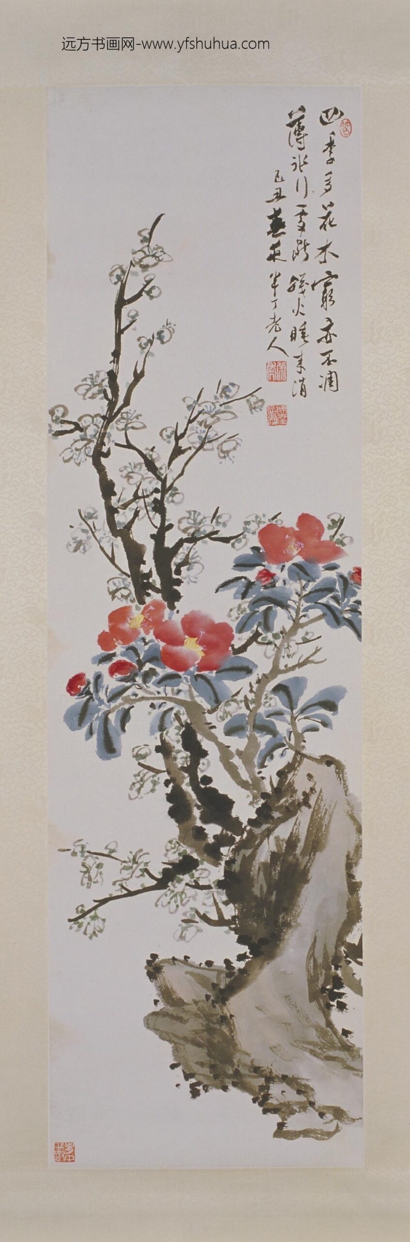 近现代-陈年梅花山茶轴