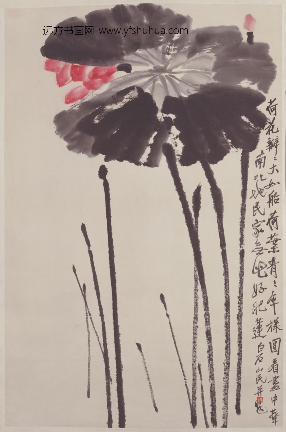 近现代-齐璜荷花图轴