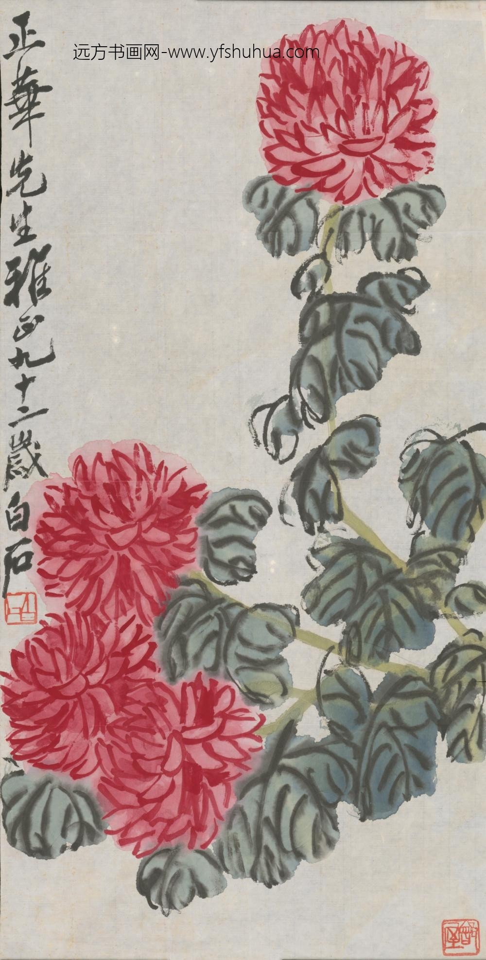 近现代-齐璜菊花轴