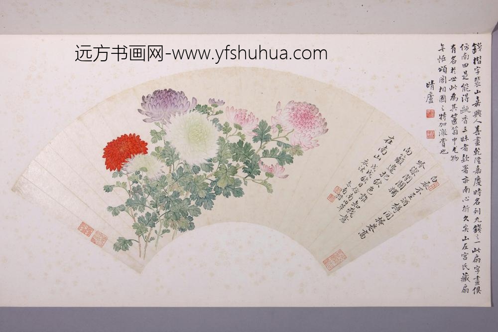 钱楷菊花图扇页