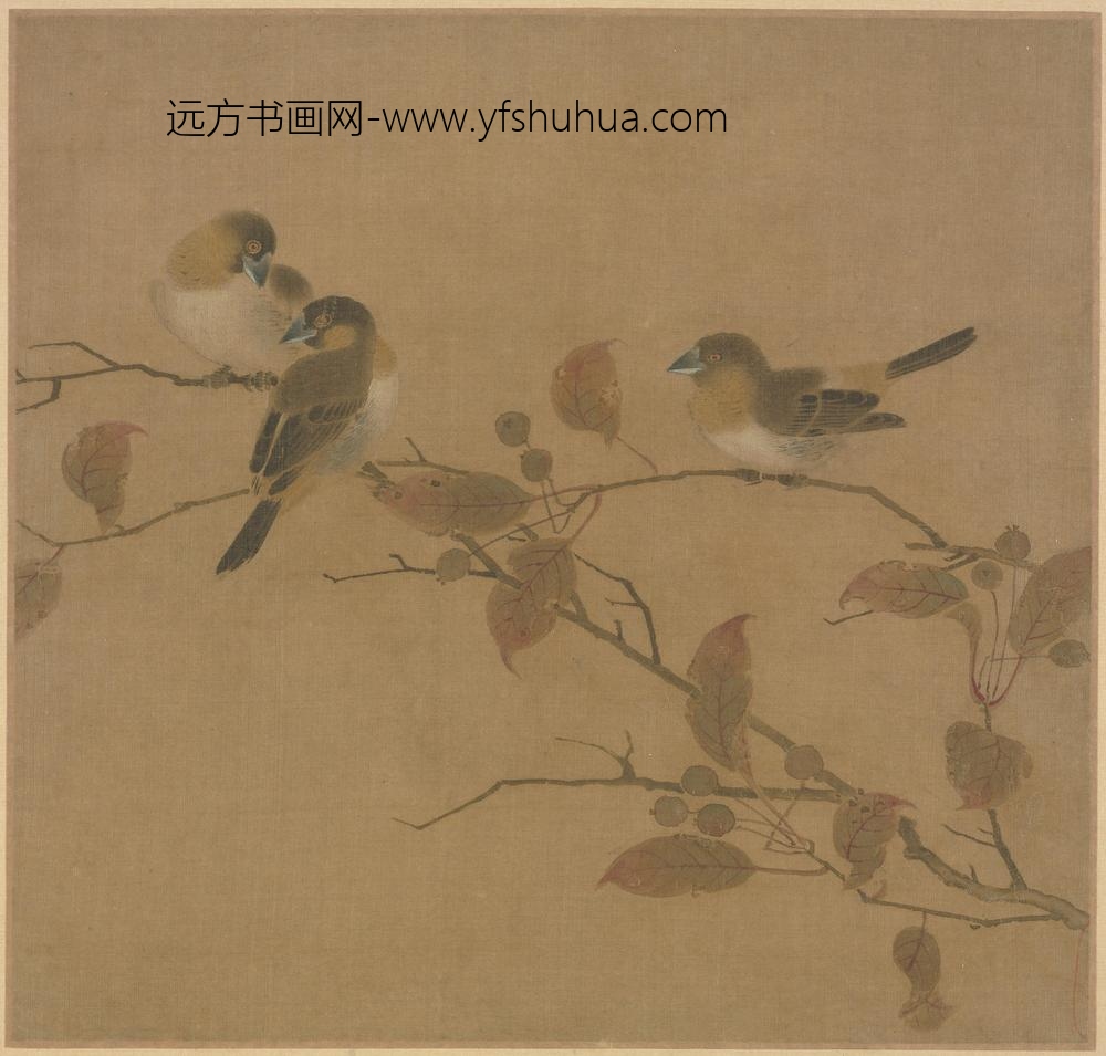 霜桕山鸟图页