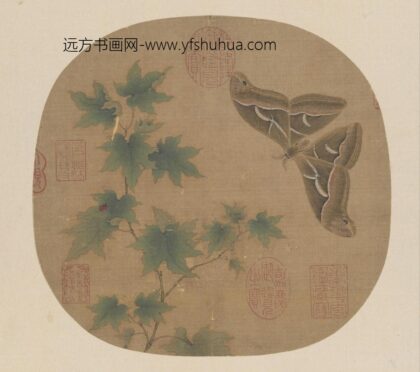 青枫巨蝶图页.jpg