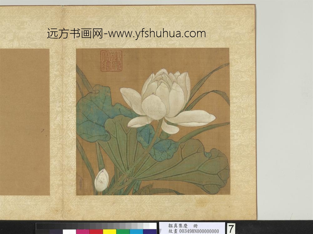 韫真集庆册-无款画荷