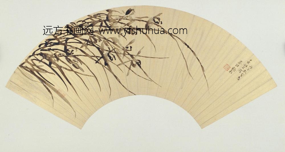 顾眉兰花图扇页