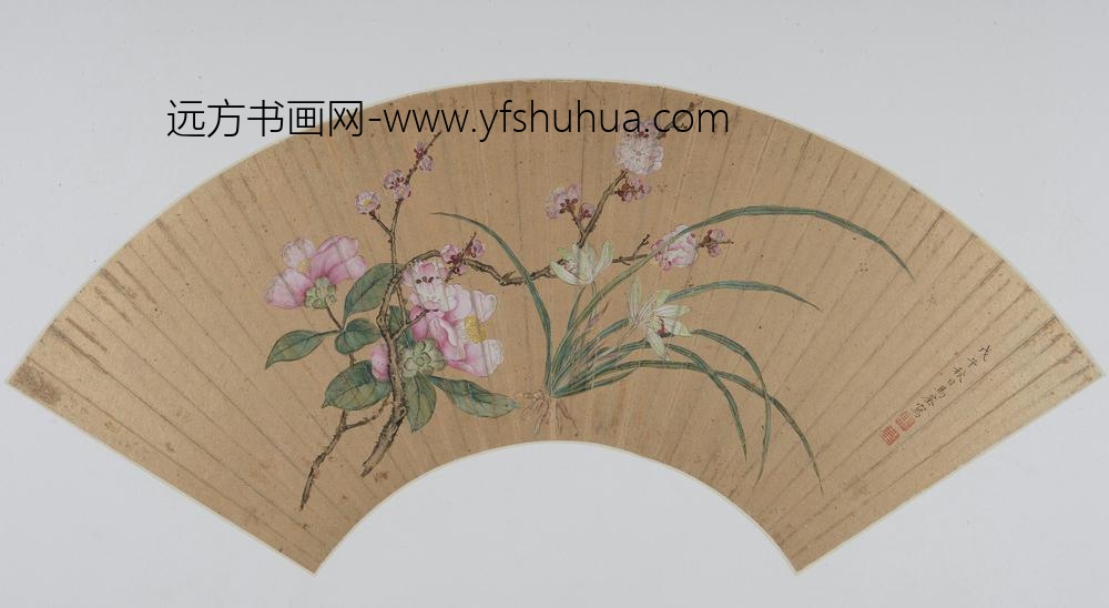 马荃花卉图扇页