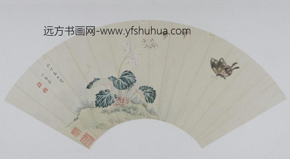 马荃草虫花卉图扇页