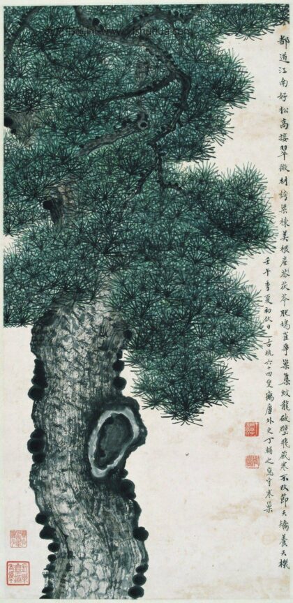 丁辅之 画松.jpg
