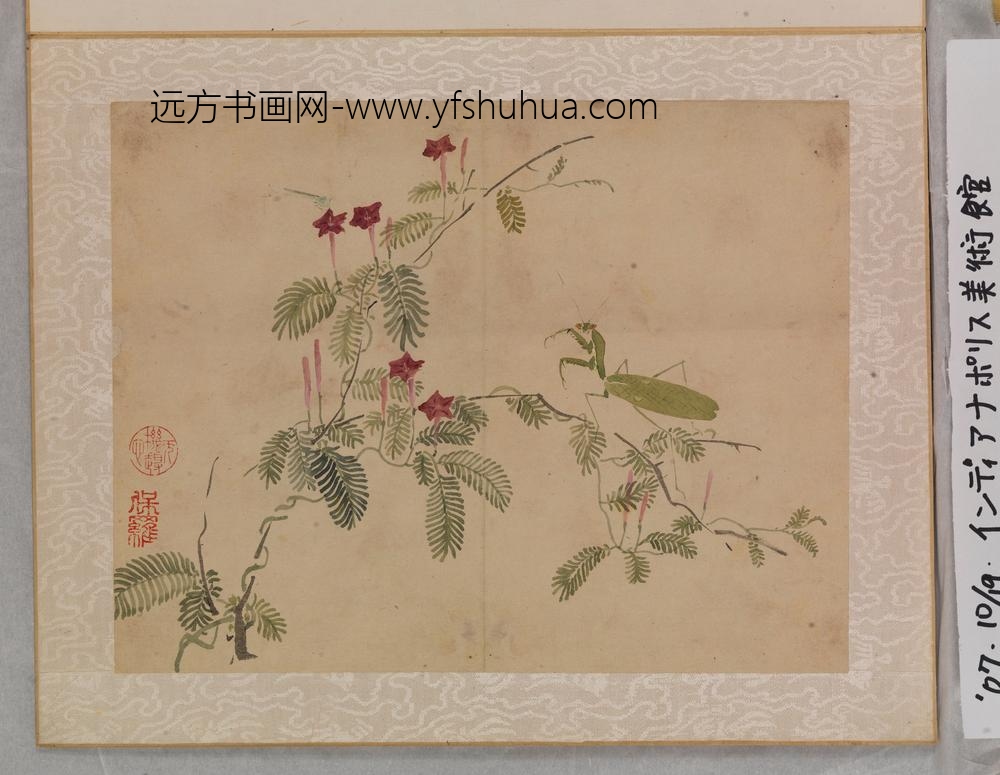 余省_花卉鱼虫册（八开） ()