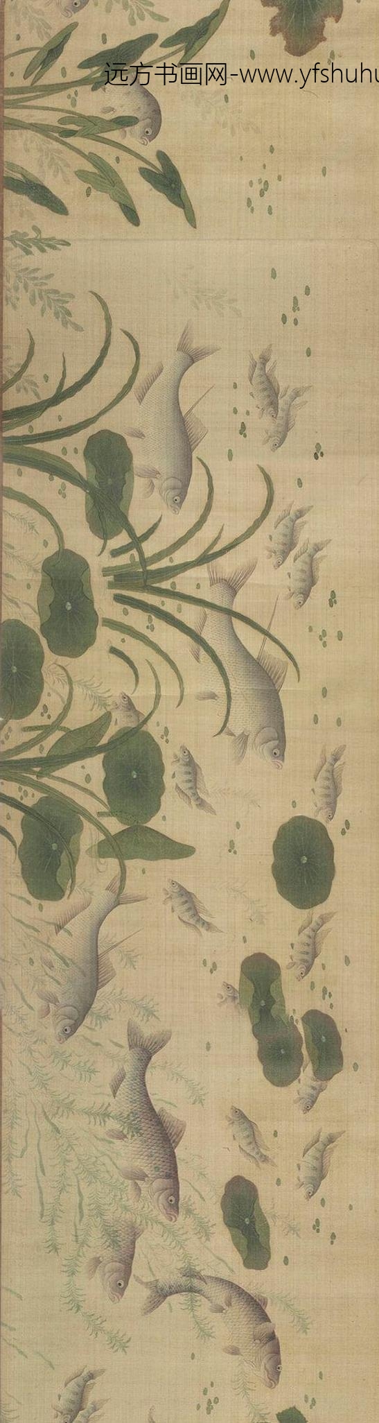 佚名_群鲜朝鲤图_