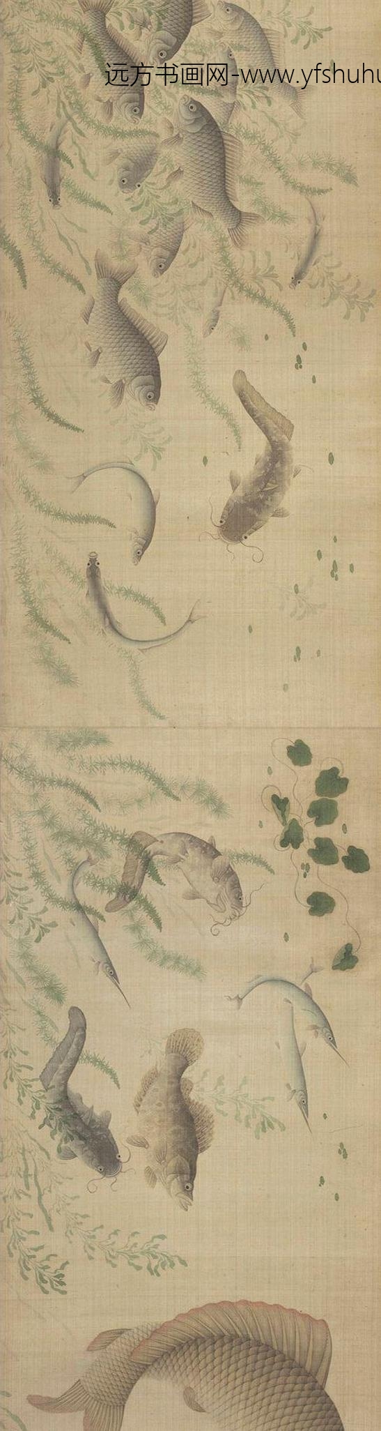 佚名_群鲜朝鲤图_