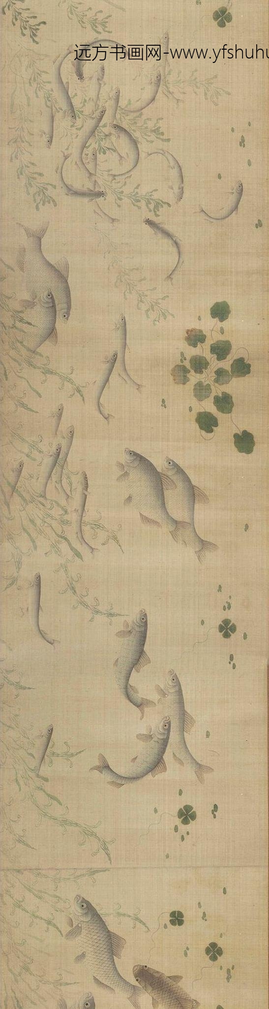 佚名_群鲜朝鲤图_
