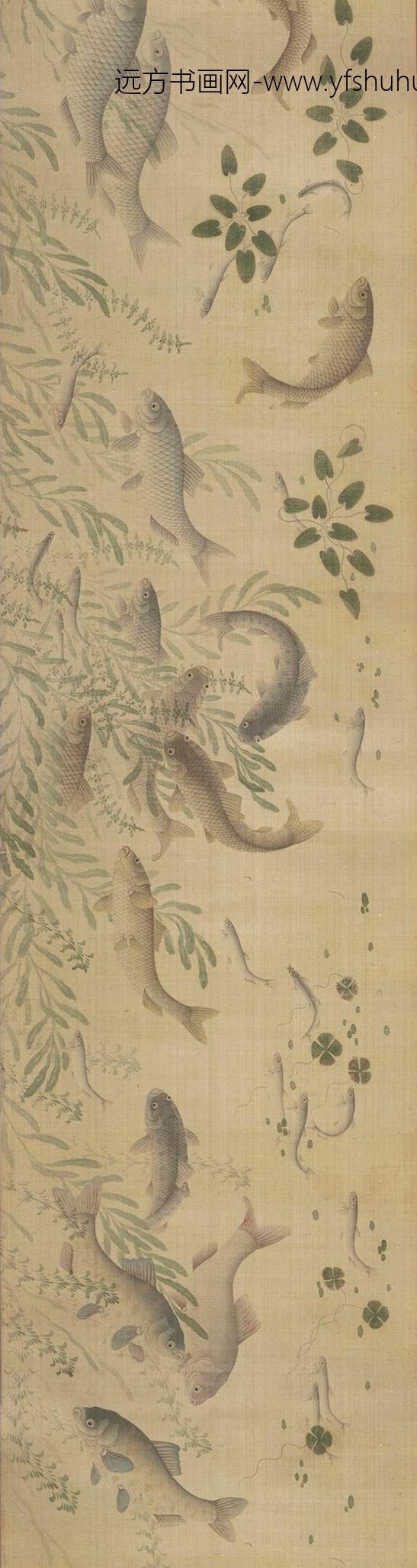 佚名_群鲜朝鲤图_