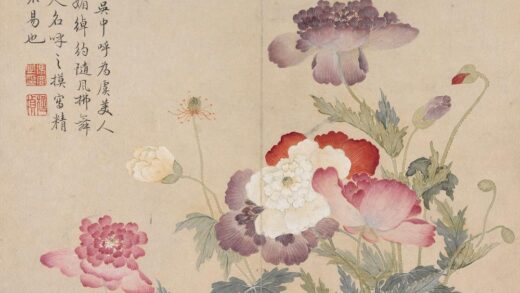 冯祥 花卉册（八开之一）罂粟花.jpg