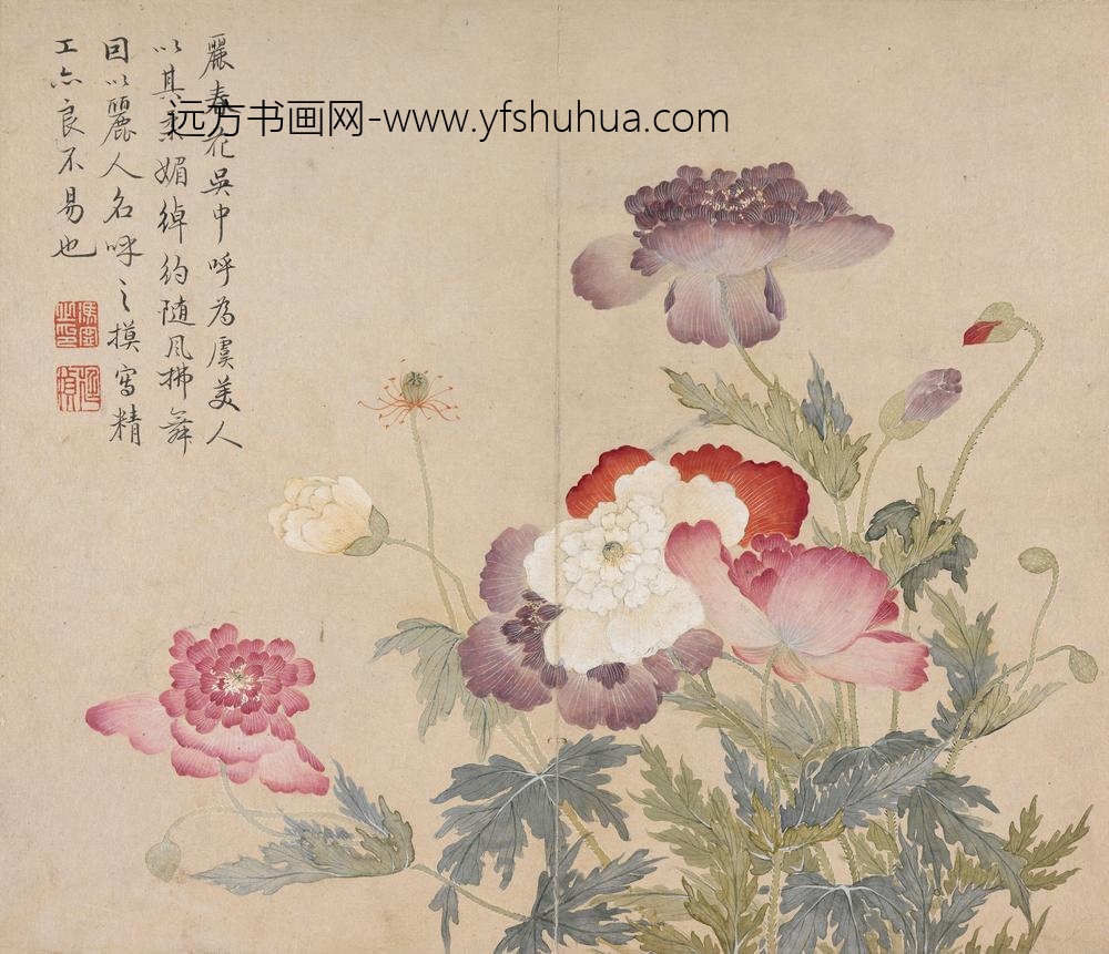 冯祥_花卉册（八开之一）罂粟花