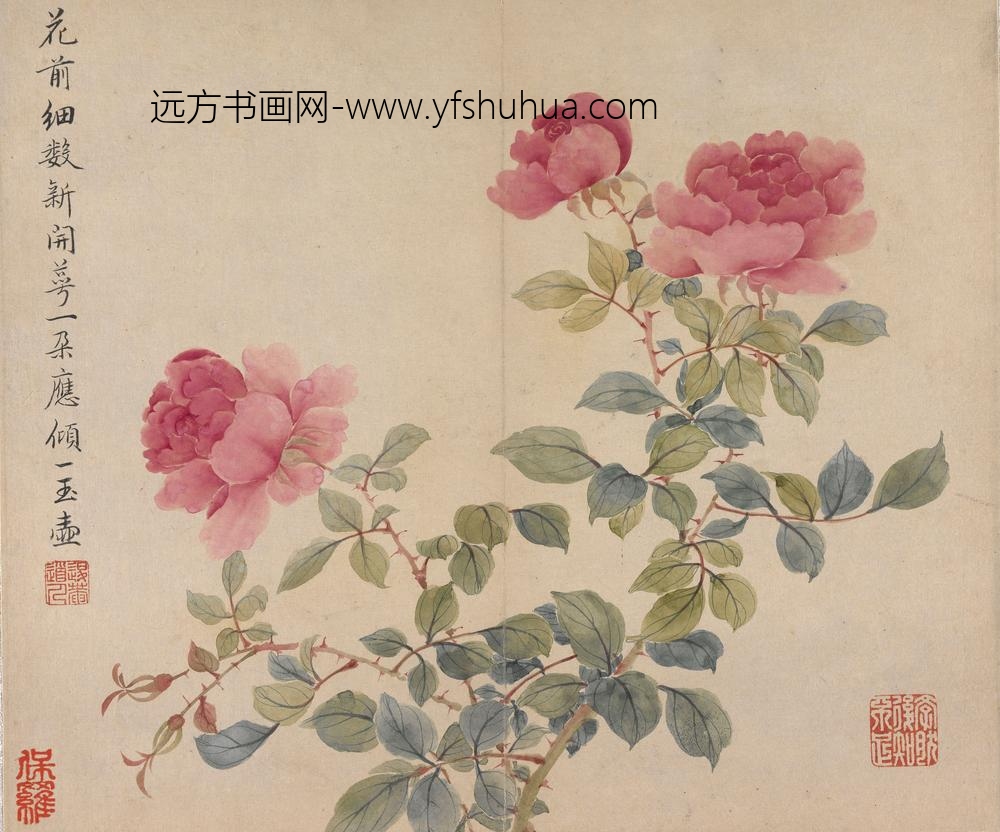 冯祥_花卉册（八开之七）