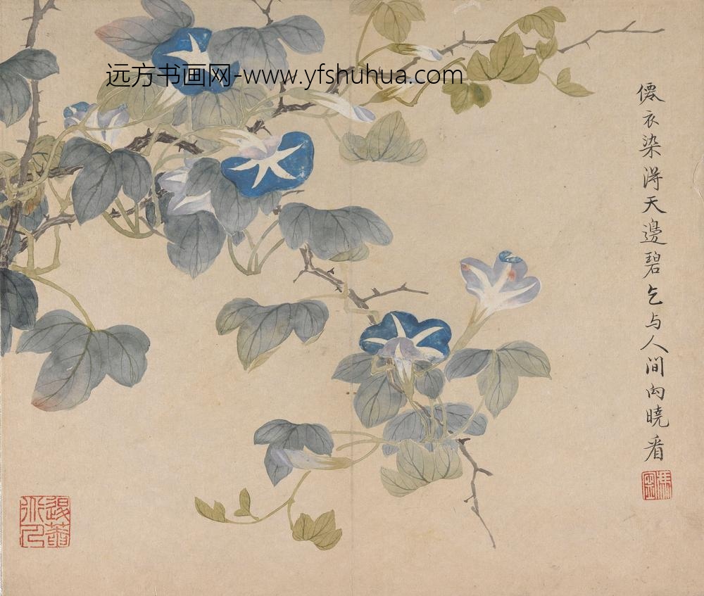 冯祥_花卉册（八开之二）