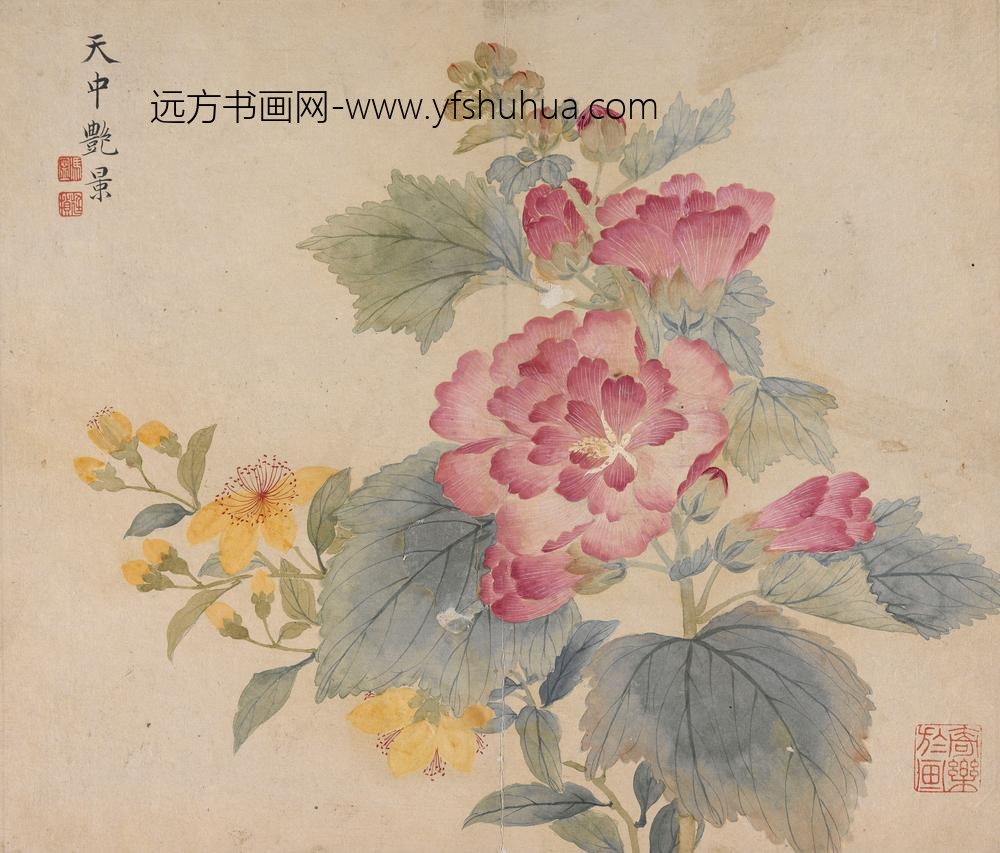 冯祥_花卉册（八开之五）