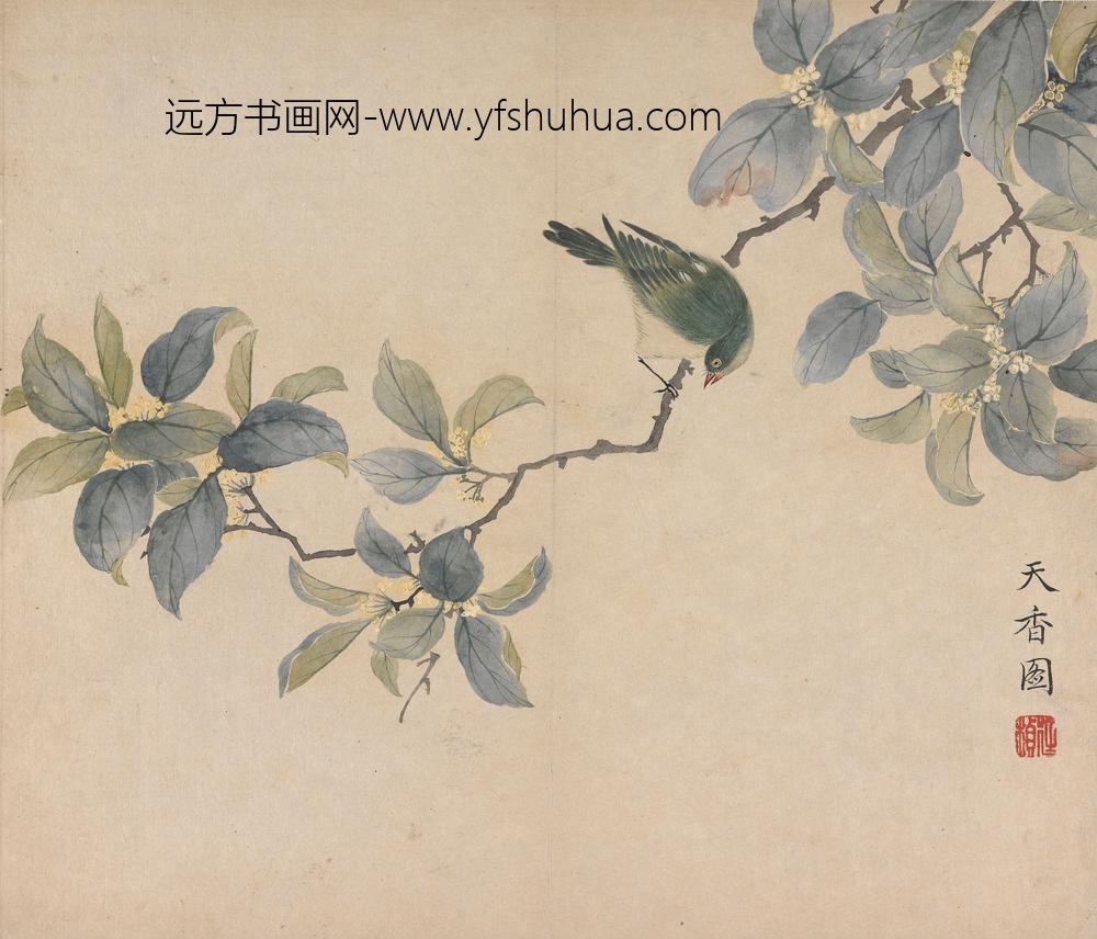 冯祥_花卉册（八开之八）
