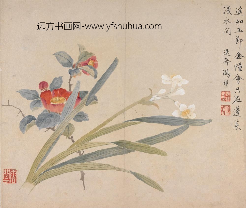 冯祥_花卉册（八开之六）