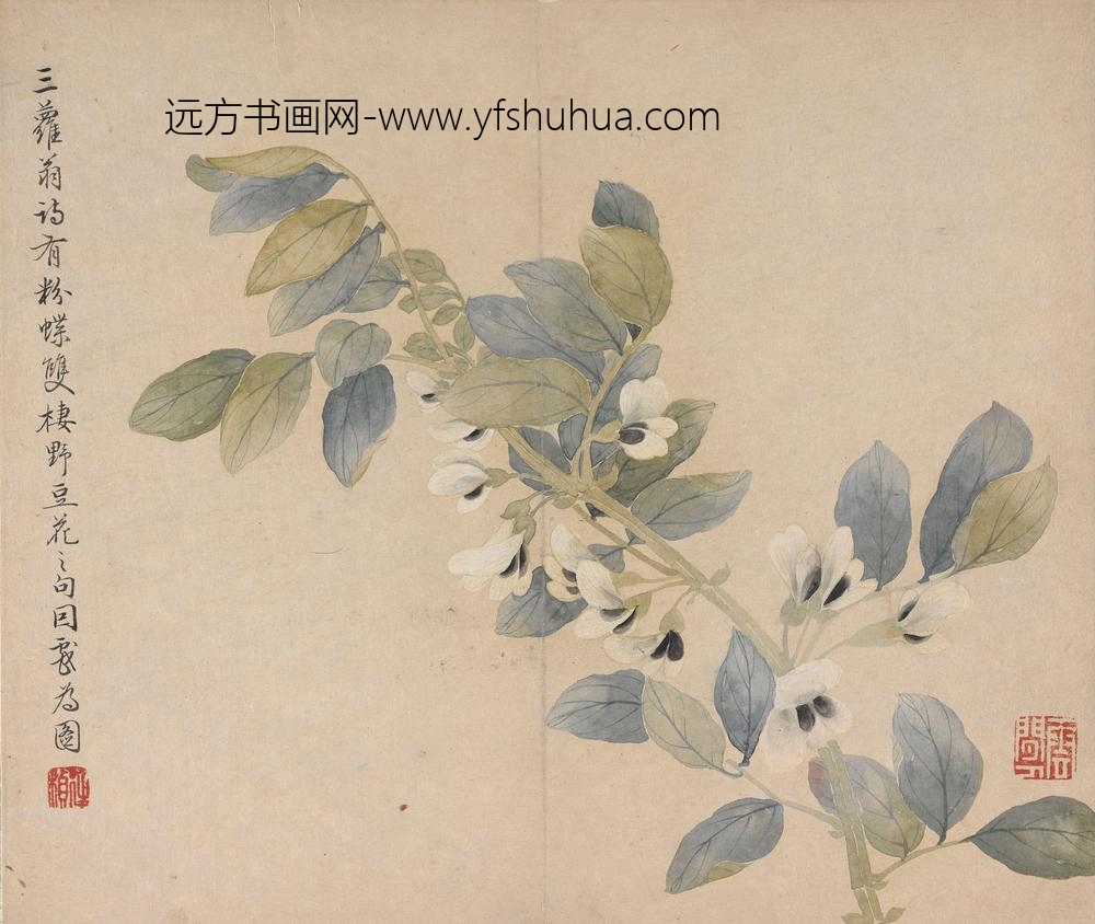 冯祥_花卉册（八开之四）