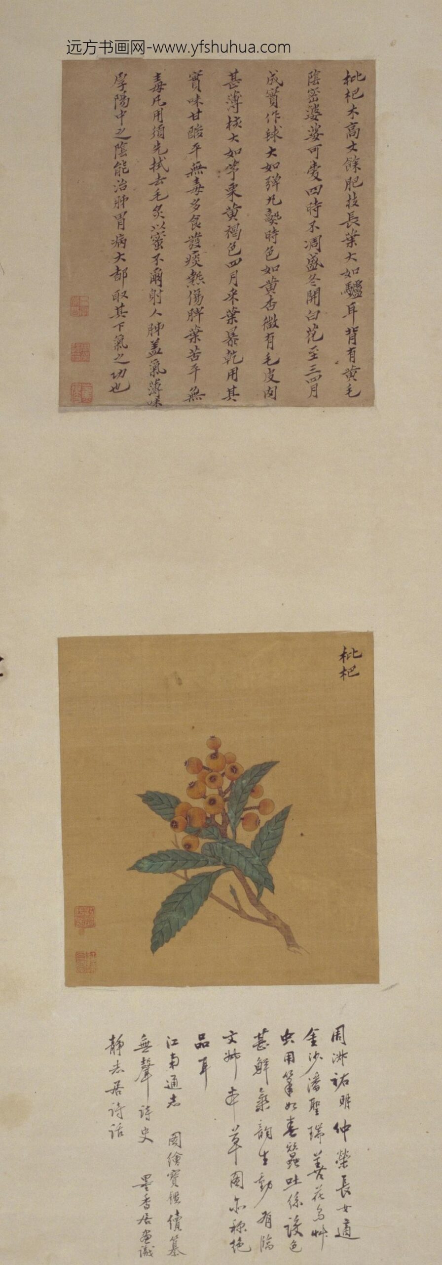 周淑禧周淑祜花果图屏-