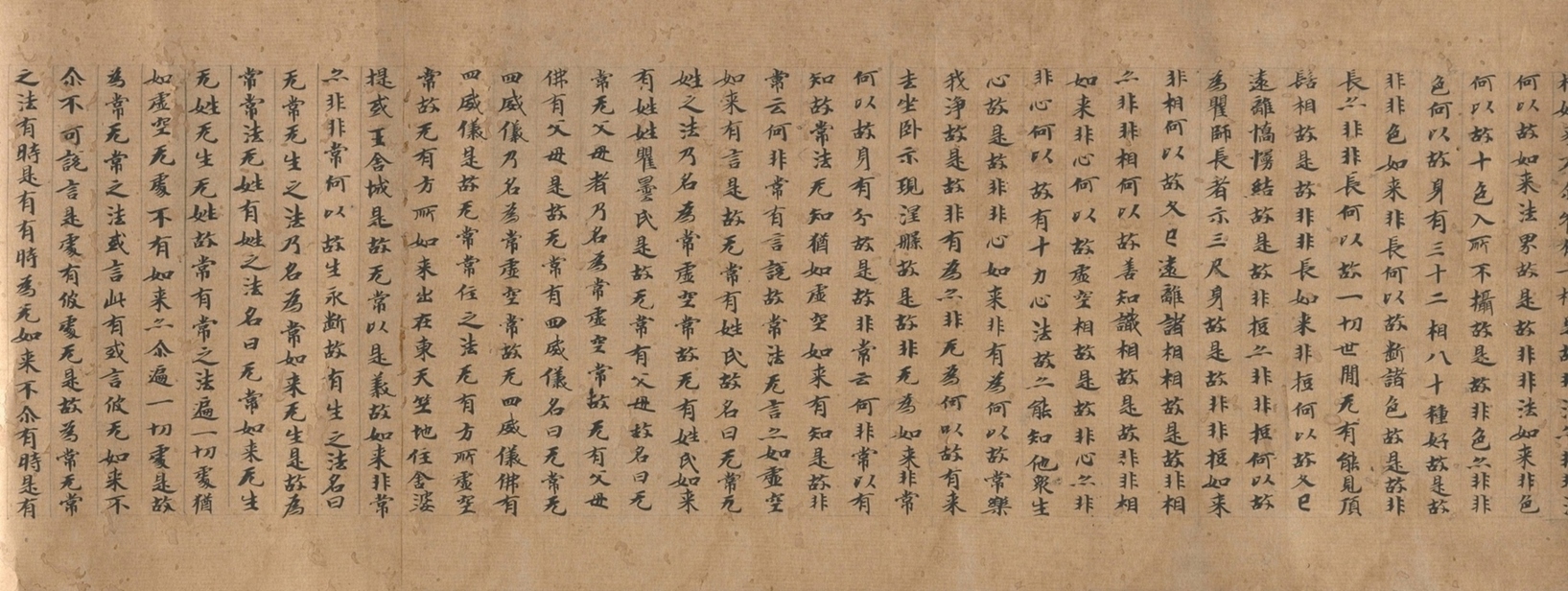 大般涅槃经卷二十二 ()