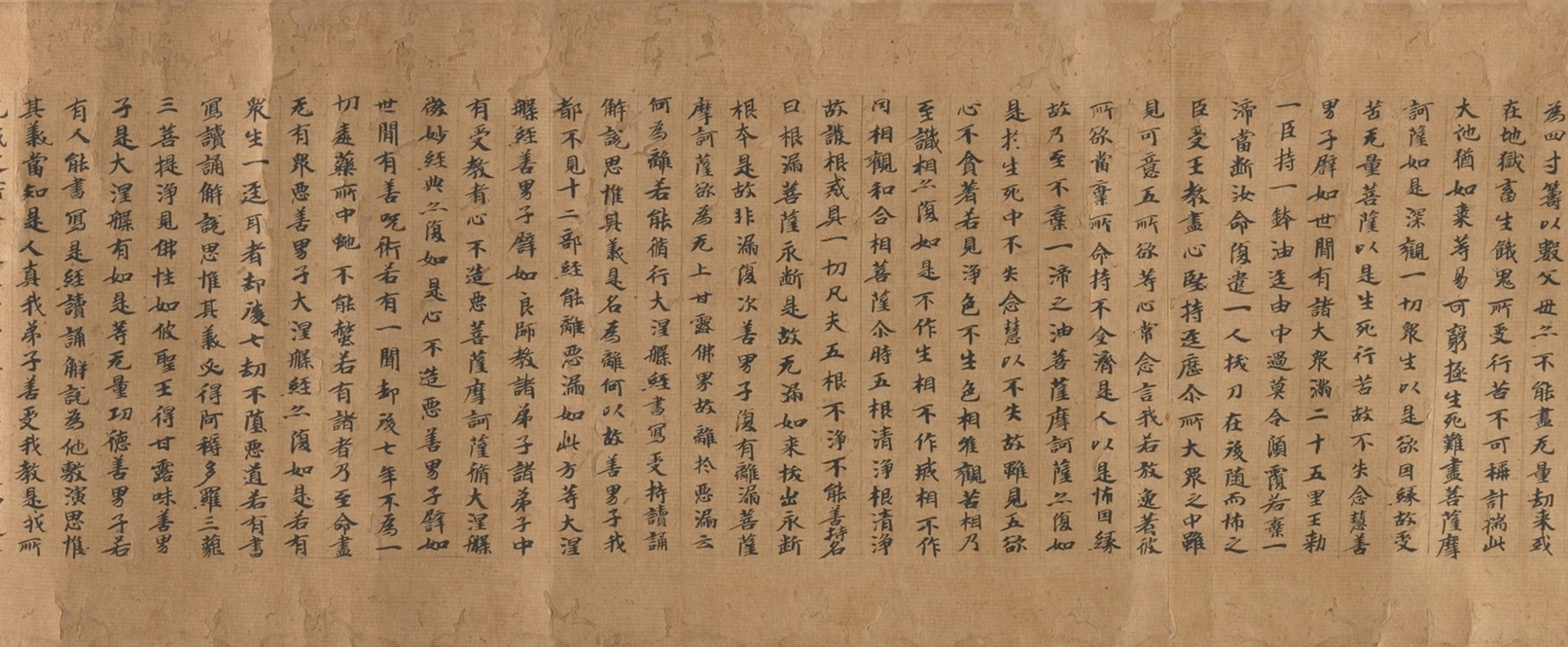 大般涅槃经卷二十二 ()