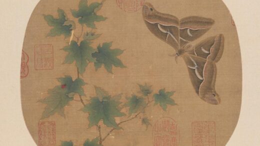 宋 纨扇画册 宋人青枫巨蝶页.jpg