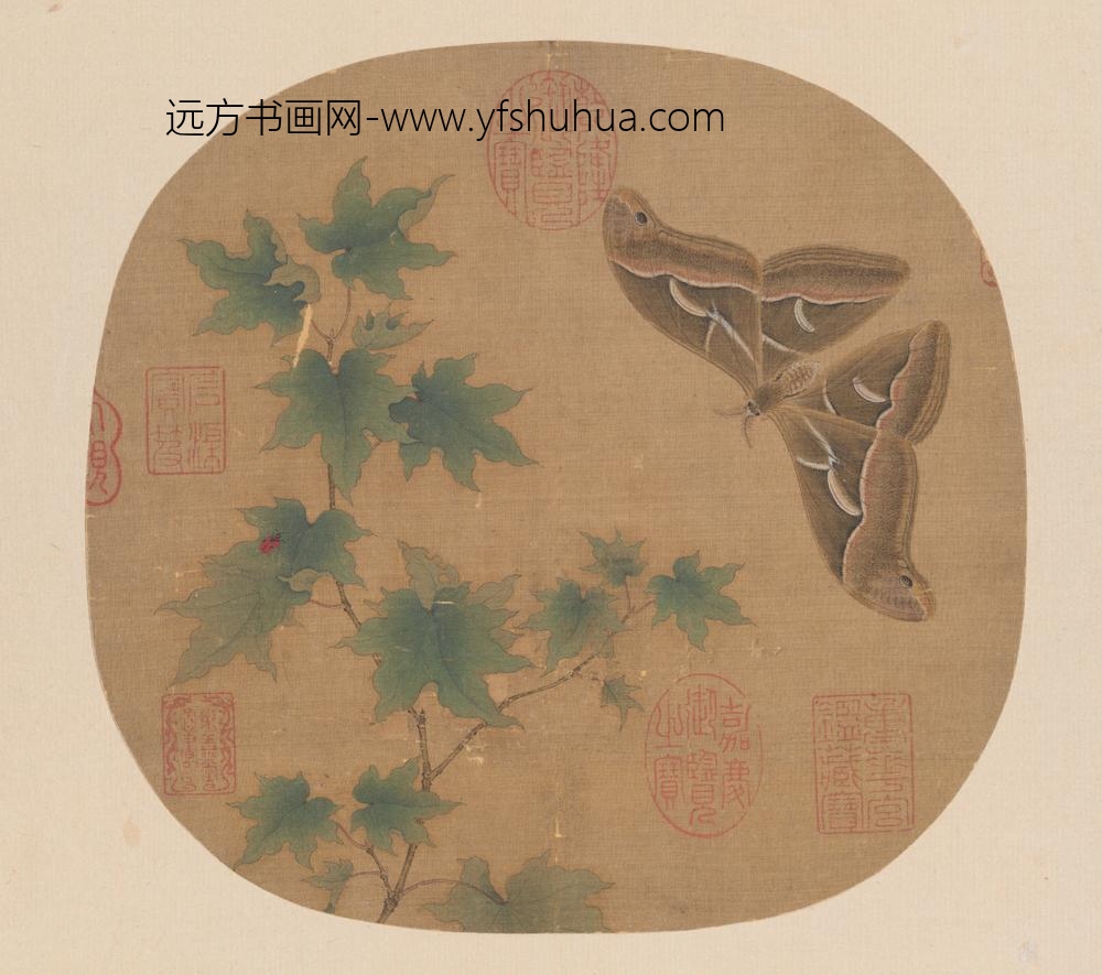 宋-纨扇画册-宋人青枫巨蝶页