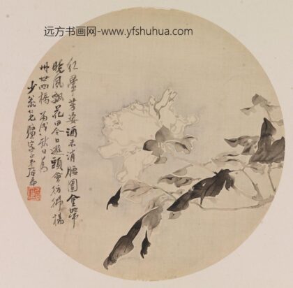 居廉 白牡丹图.jpg