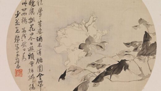 居廉 白牡丹图.jpg