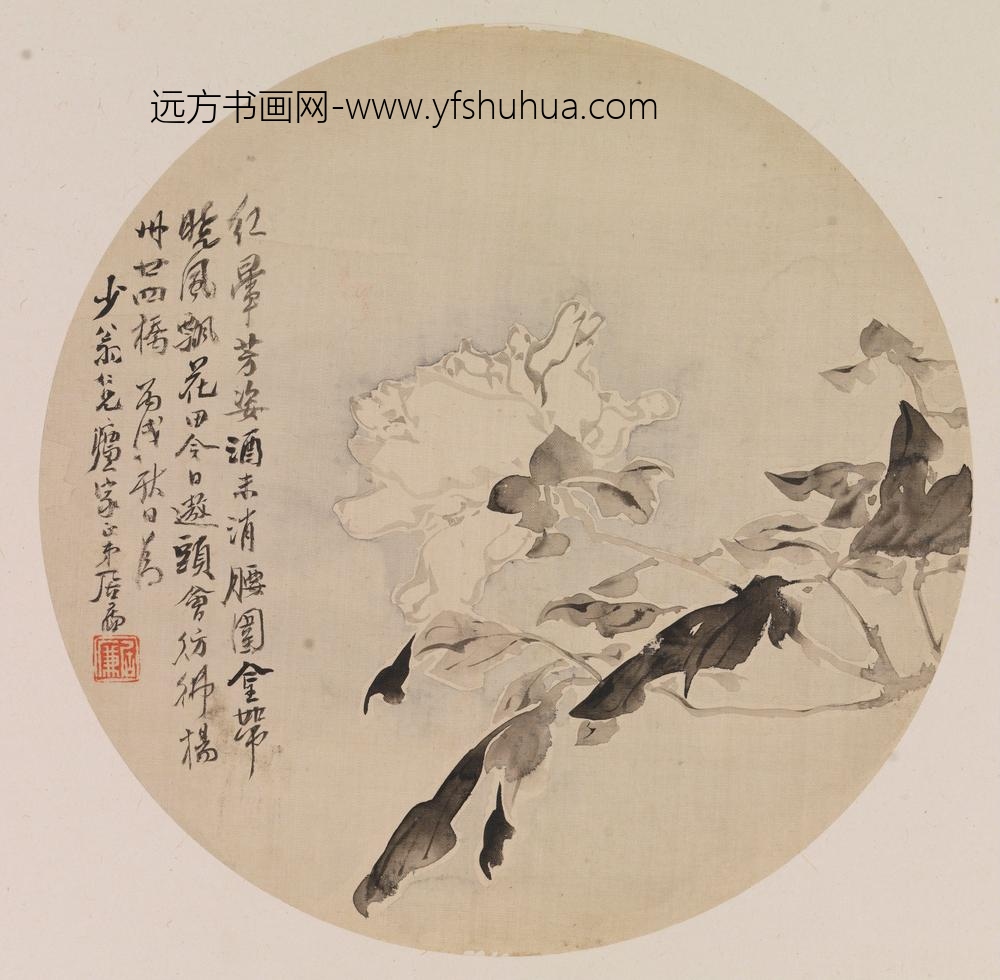 居廉-白牡丹图