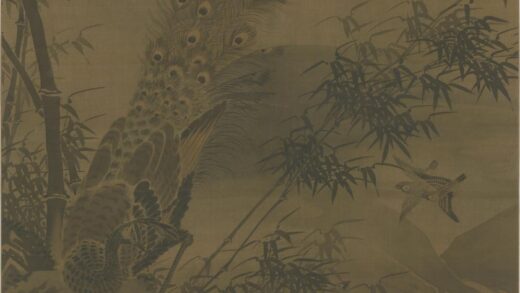 明 明人竹石孔雀图轴.jpg