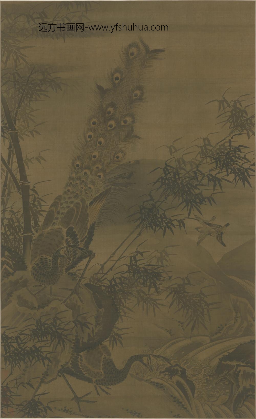 明-明人竹石孔雀图轴