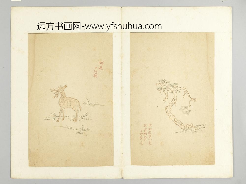 明-木版水印十竹斋五色笺谱册-